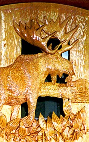 Moose Door